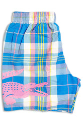 Men's Lacoste Coloured Check Print Swim Shorts