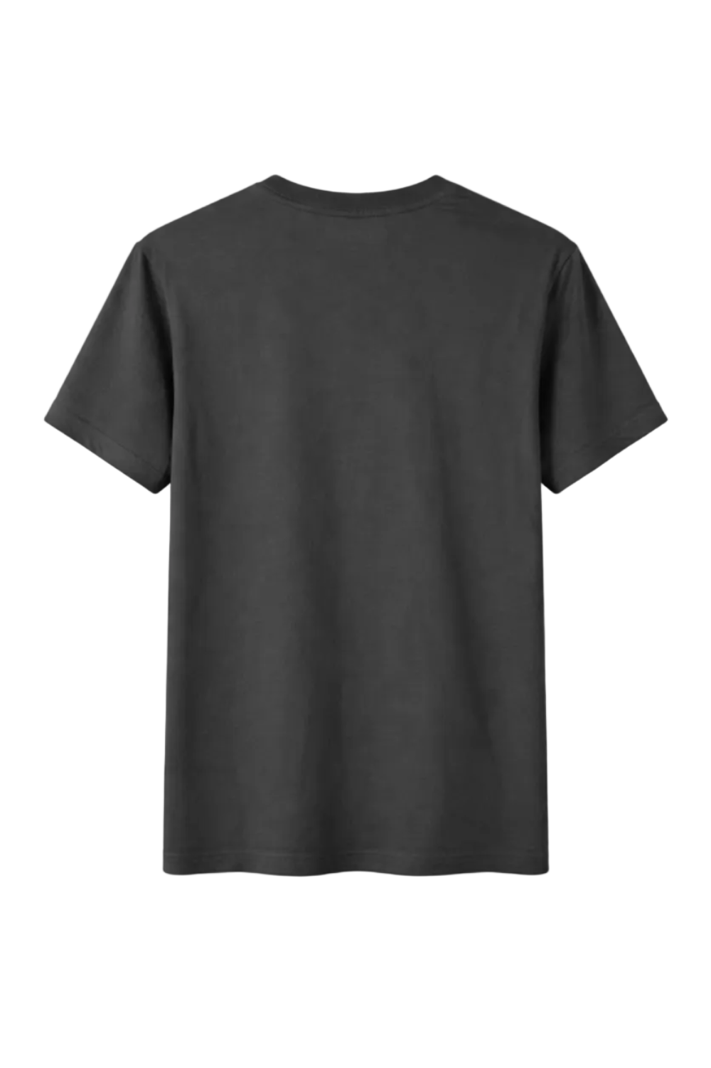 Men's Charcoal Grey Ed Hardy Graphic T-Shirt